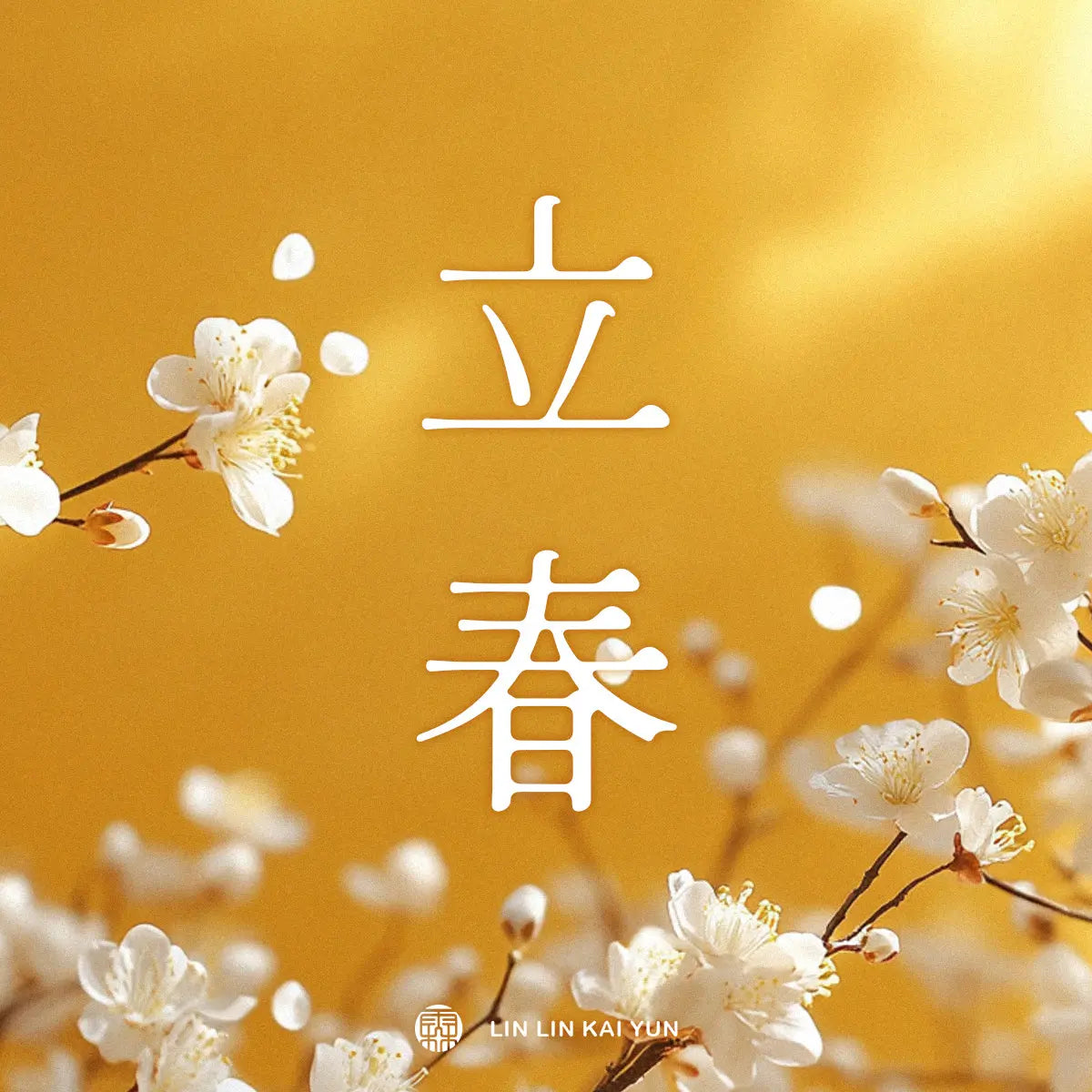 節氣小教室|立春:一年真正開始流動的時刻