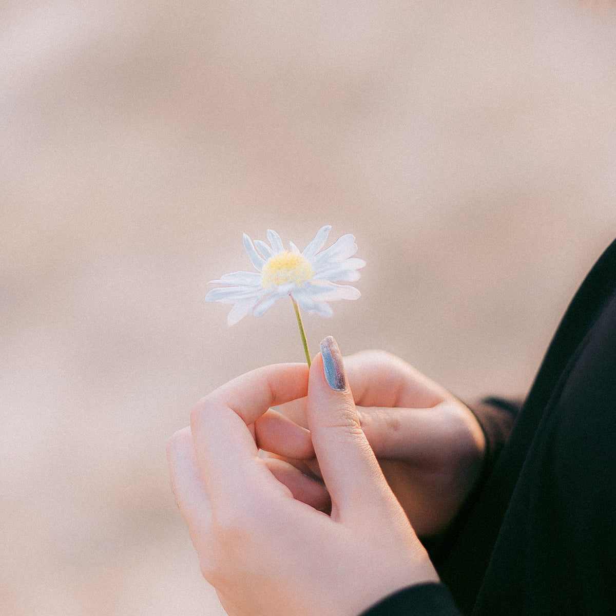 修福之前,先把心安住|林霖老師談 EP2