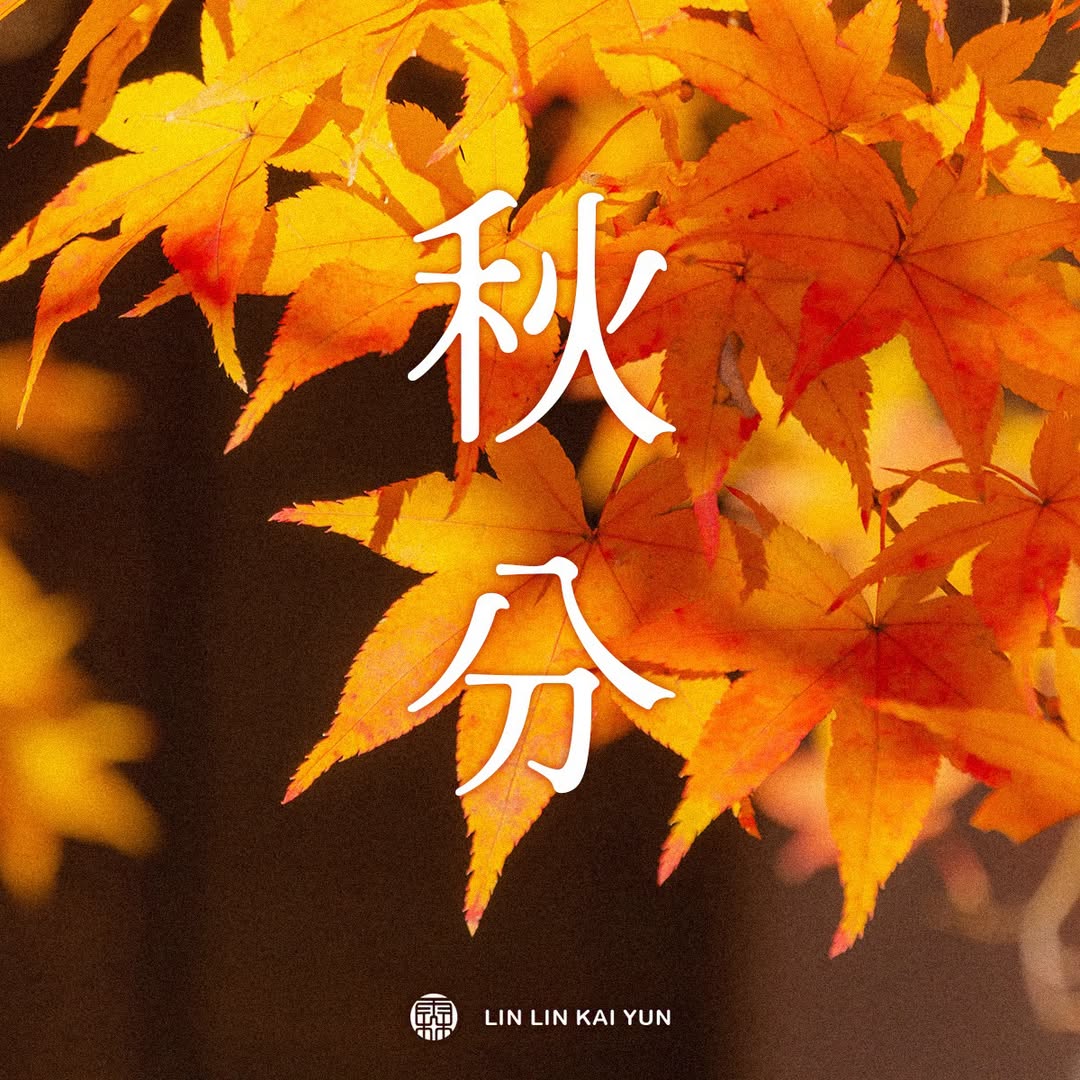 節氣小教室|秋分是什麼?晝夜平衡、陰陽調和,三候、祭月習俗與潤燥飲食