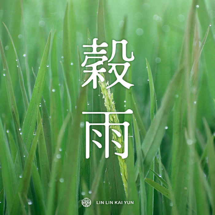 節氣小教室｜穀雨：開始生長的，不只是萬物，還有你的生活節奏