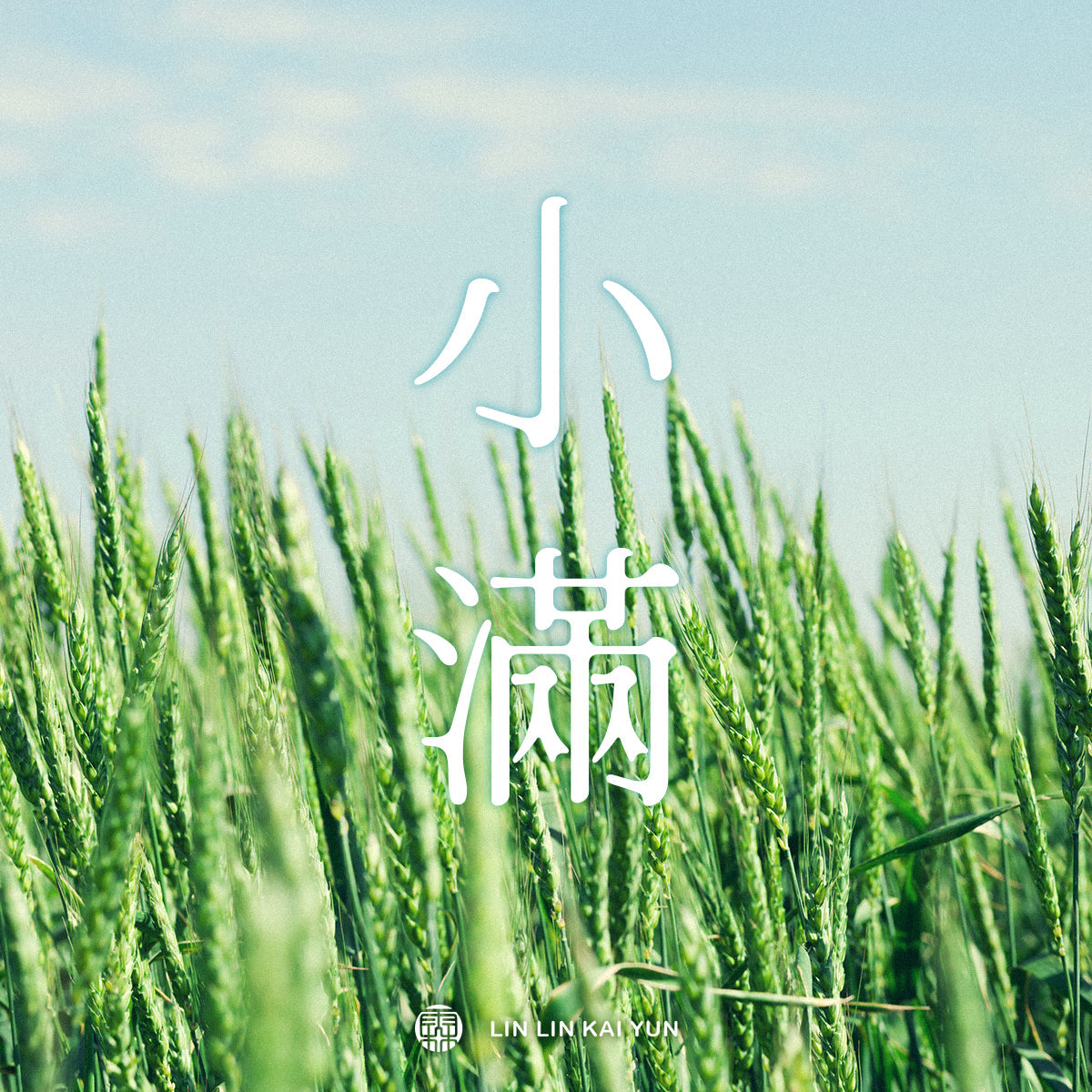 節氣小教室｜小滿：真正剛剛好的，從來不是圓滿，而是穩穩前進