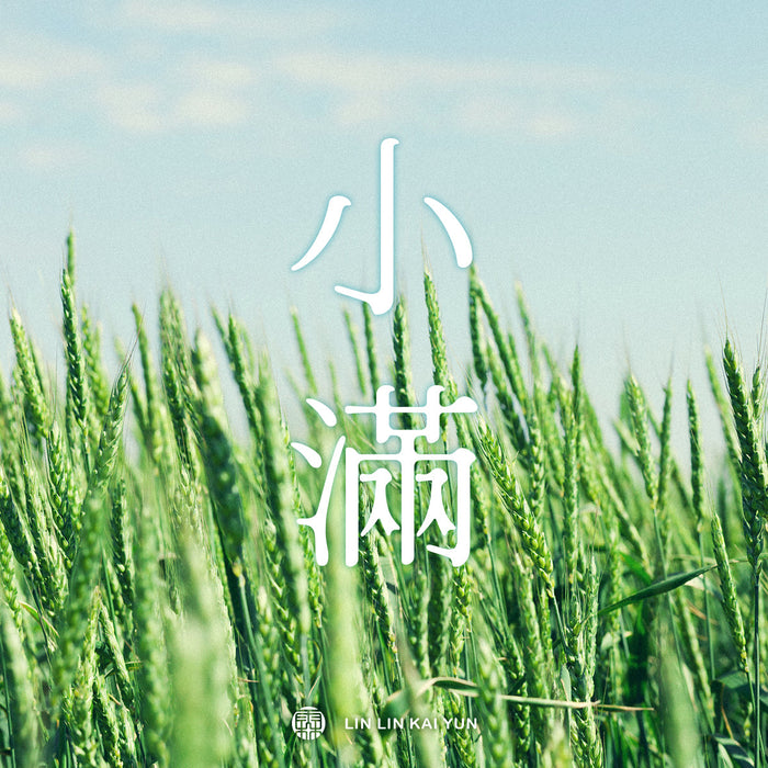 節氣小教室｜小滿：真正剛剛好的，從來不是圓滿，而是穩穩前進