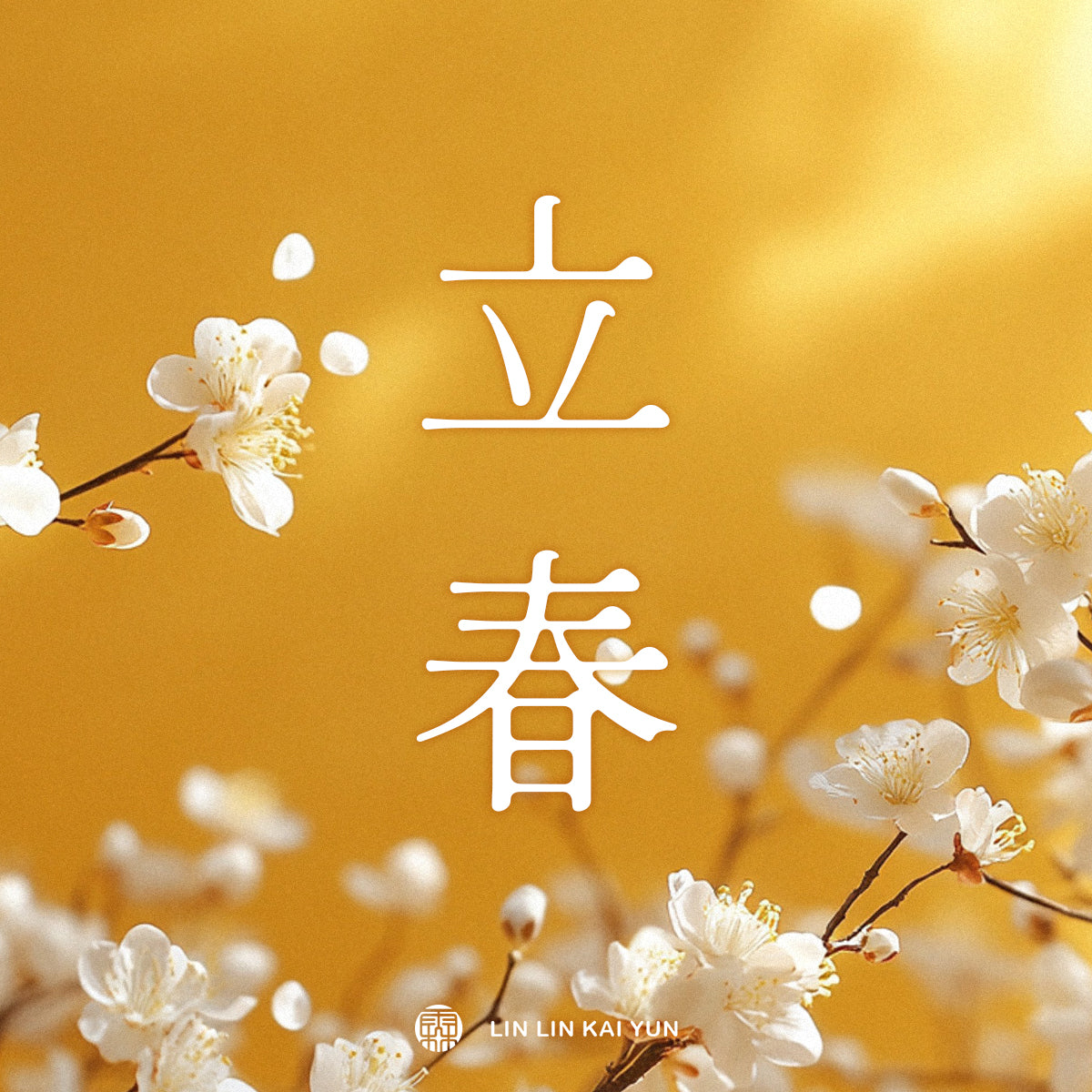 節氣小教室｜立春：一年真正開始流動的時刻