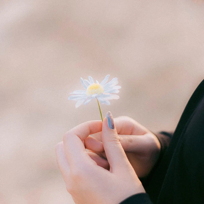 修福之前，先把心安住｜林霖老師談 EP2