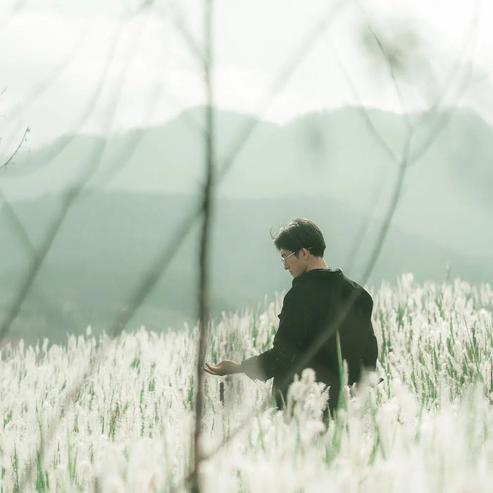 為什麼你不是沒能力，而是沒有人接住你？