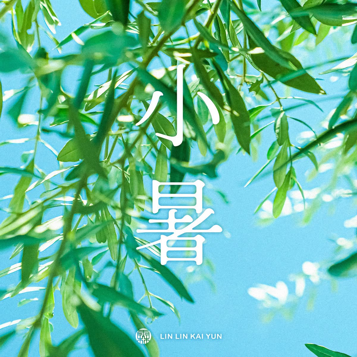 節氣小教室｜小暑是什麼?上蒸下煮的節氣,習俗、三寶與生活提醒